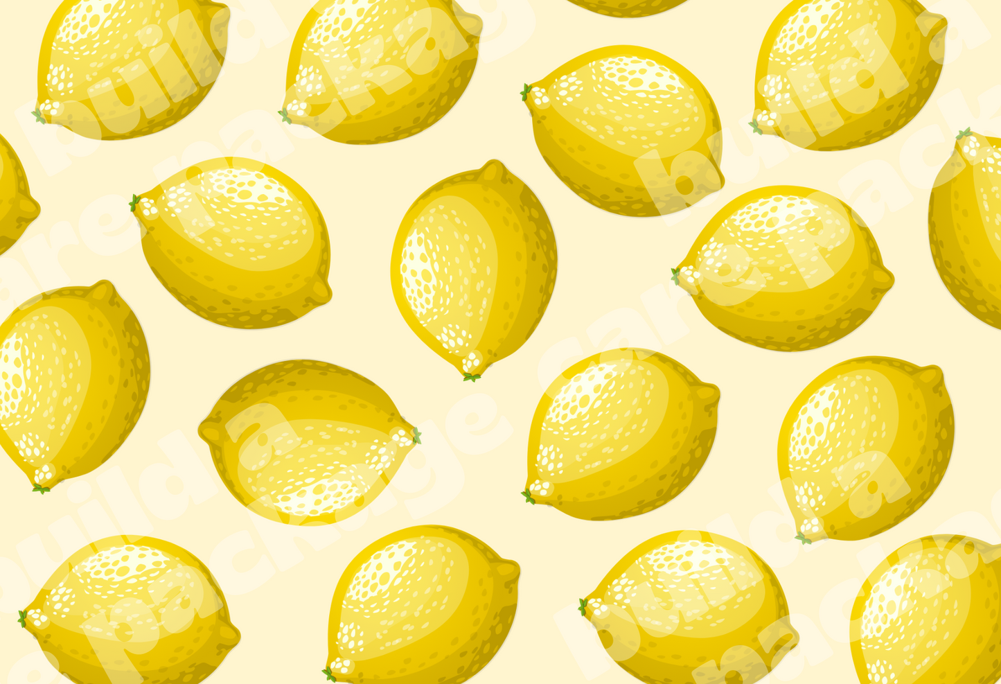 Care Package Sticker Kit - You're the Zest!